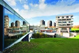 University of Essex banner